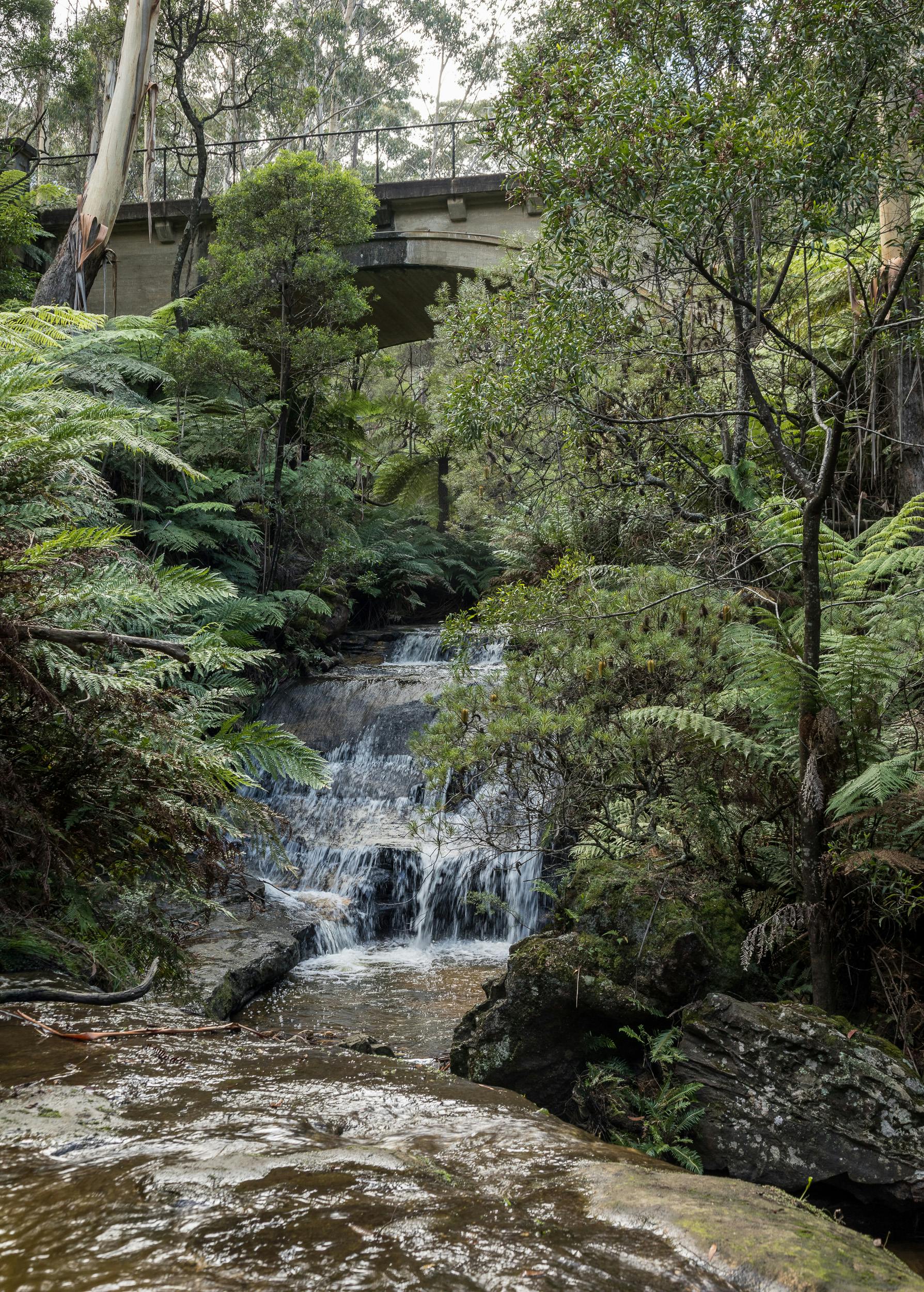 Leura Cascades Mar2021 Ian Brown med res sRGB-53.jpg