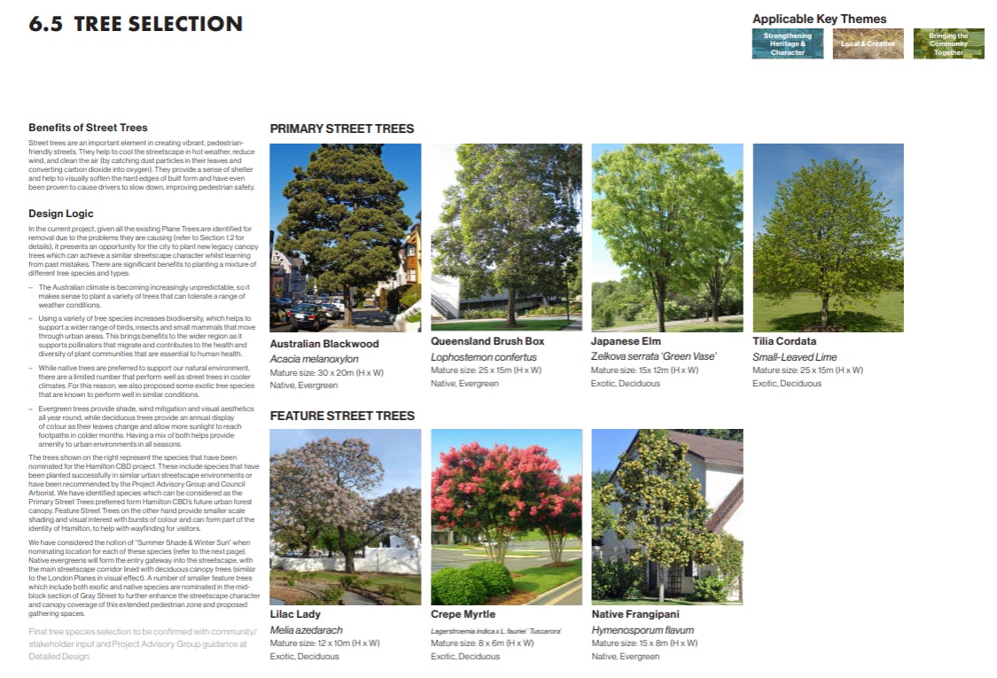 TreeSelection.png